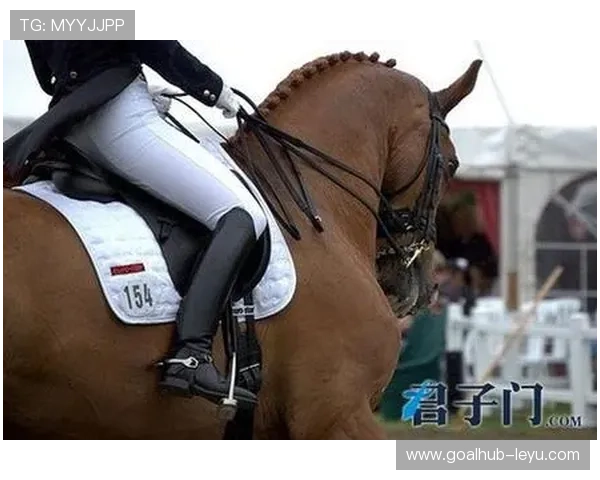 马术盛装舞步难度解析：技巧与精准的完美融合